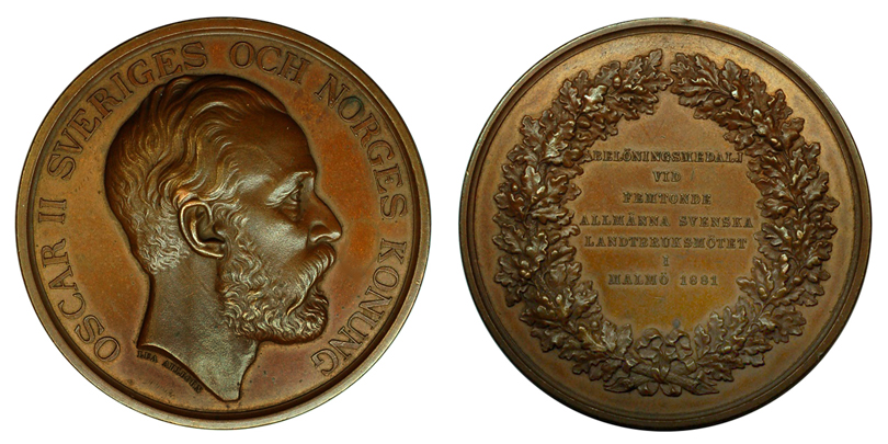 Швеция Медаль 15-го Шведского Сельскохозяйственного съезда в городе Мальмо 1881 (бронза, диаметр 58 мм), цена 16-20 евро